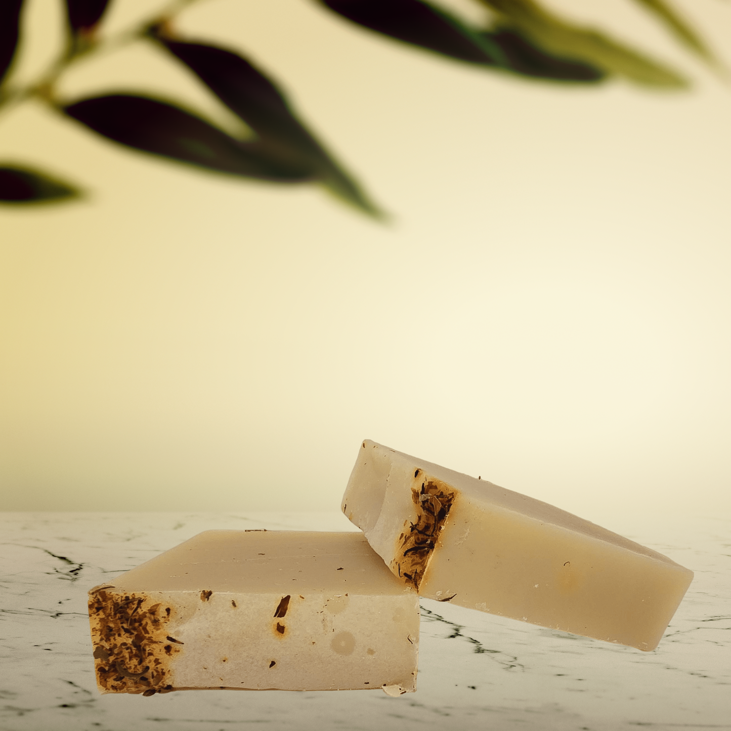 Savon Térebinthe